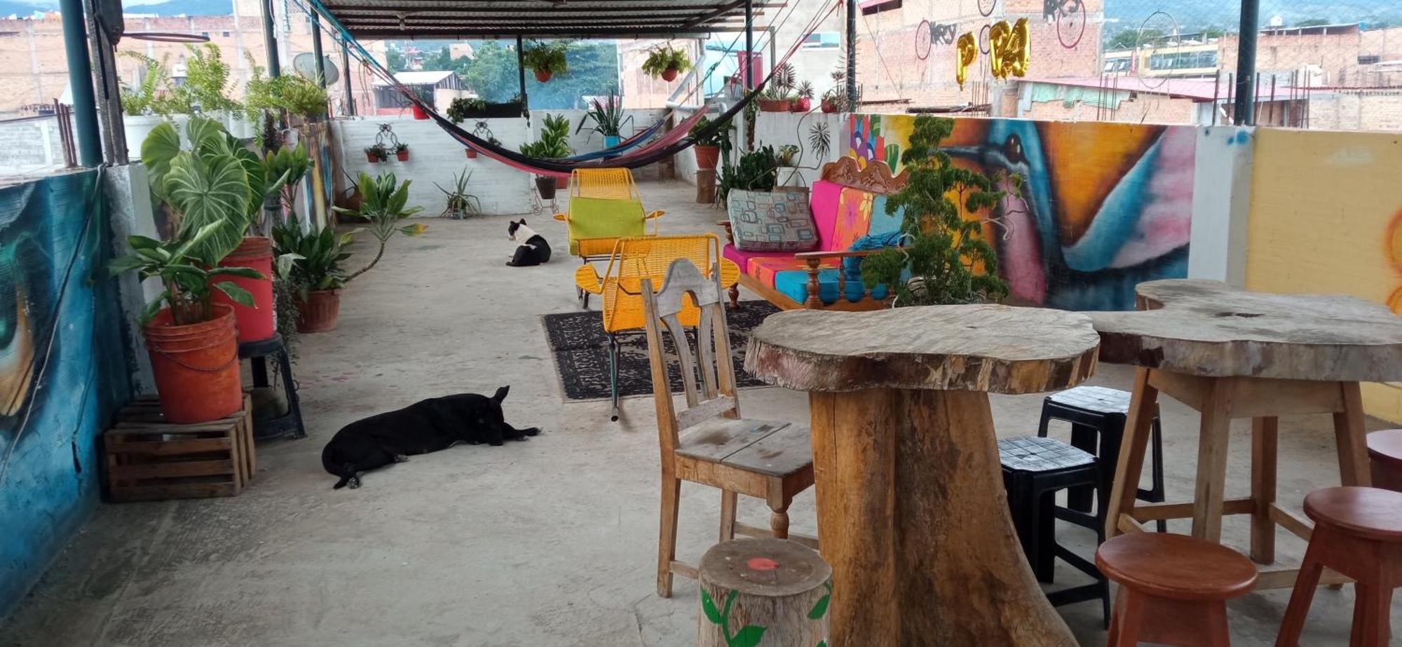 Hotel Shoffi'S House Backpackers Tarapoto Exterior foto